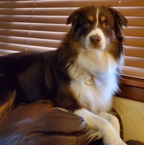 Meet your Posher, Jim